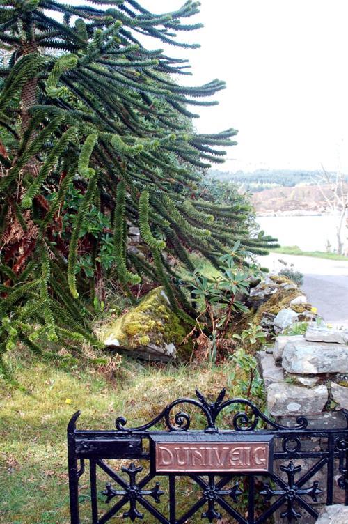 Dunivaig B&B Tarbert  Esterno foto